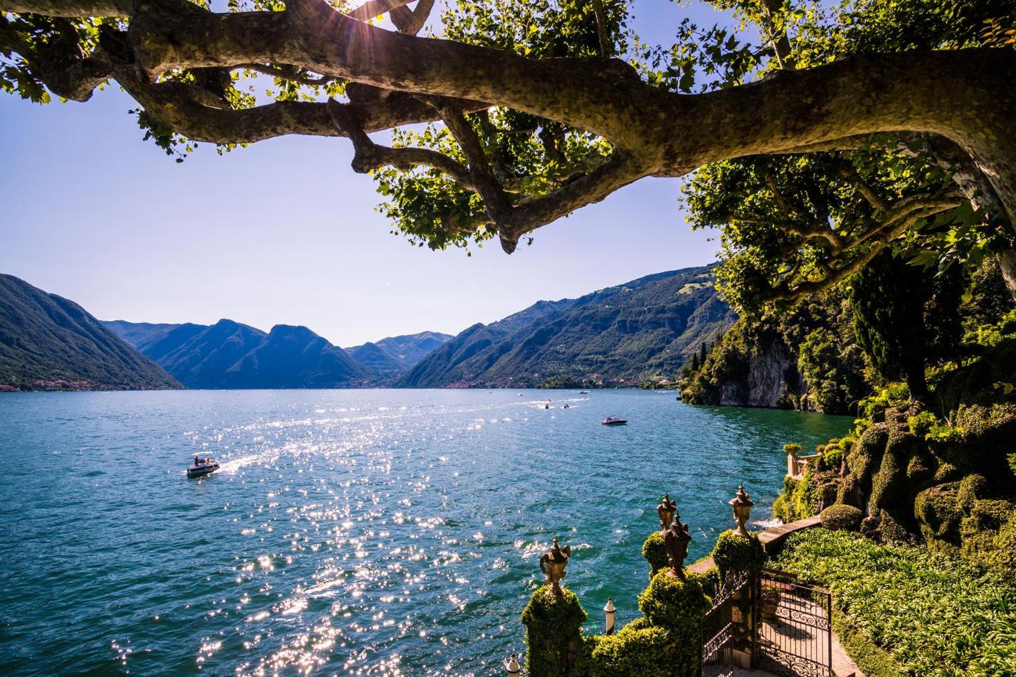 Como Lake Modern Apartament Ulivi Apartment Mezzegra ภายนอก รูปภาพ